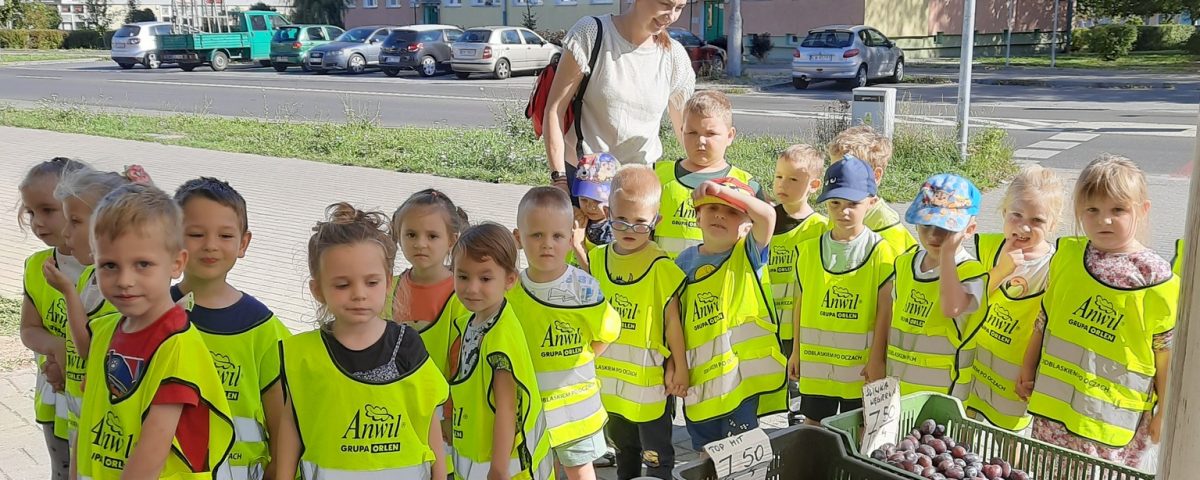 Dzieci z gr. II Misie poznawały owoce i warzywa podczas wycieczki na stragan owocowo-warzywny.